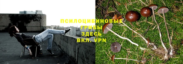 а пвп мука Белокуриха
